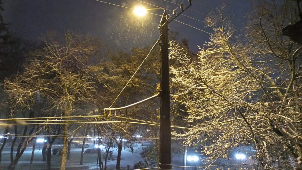 в Чернигове первый снег выпал рано утром.