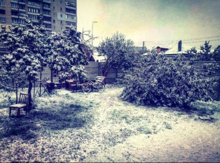 Яркими зимними фото делятся харьковчане в Инстаграм.
