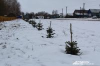  В Оренбургской области открыта Аллея Героев.