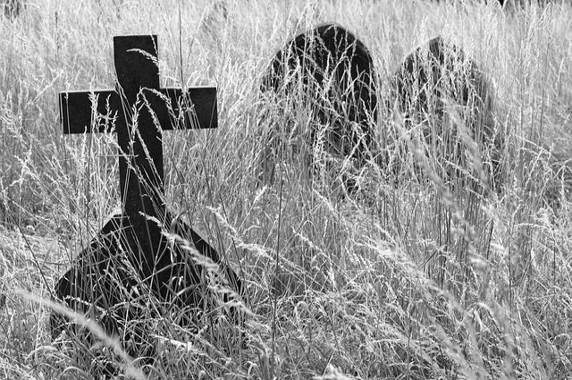 В Салехарде, вопреки закону, торговали местами на кладбище
