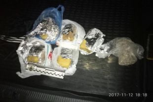 Задержанным в Киеве со взрывчаткой закарпатцам вынесли подозрение