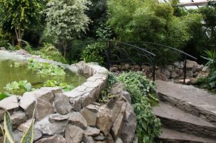 Здесь можно почувствовать себя в тропиках.