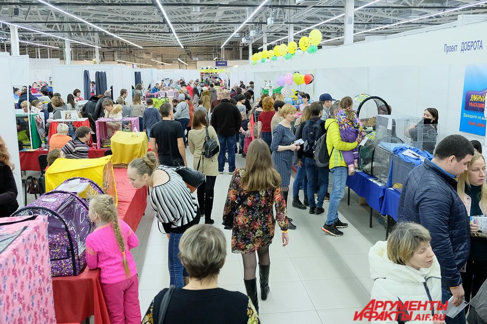Желающих посмотреть на домашних любимцев оказалось предостаточно.