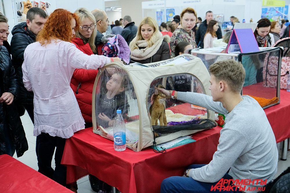Многие пришли на выставку вместе с детьми.
