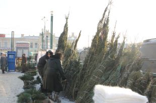 Елочные базары появится по всему городу.