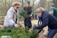 Парк «Дубки» в Ленинском районе Нижнего Новгорода благоустроят в 2018 году.