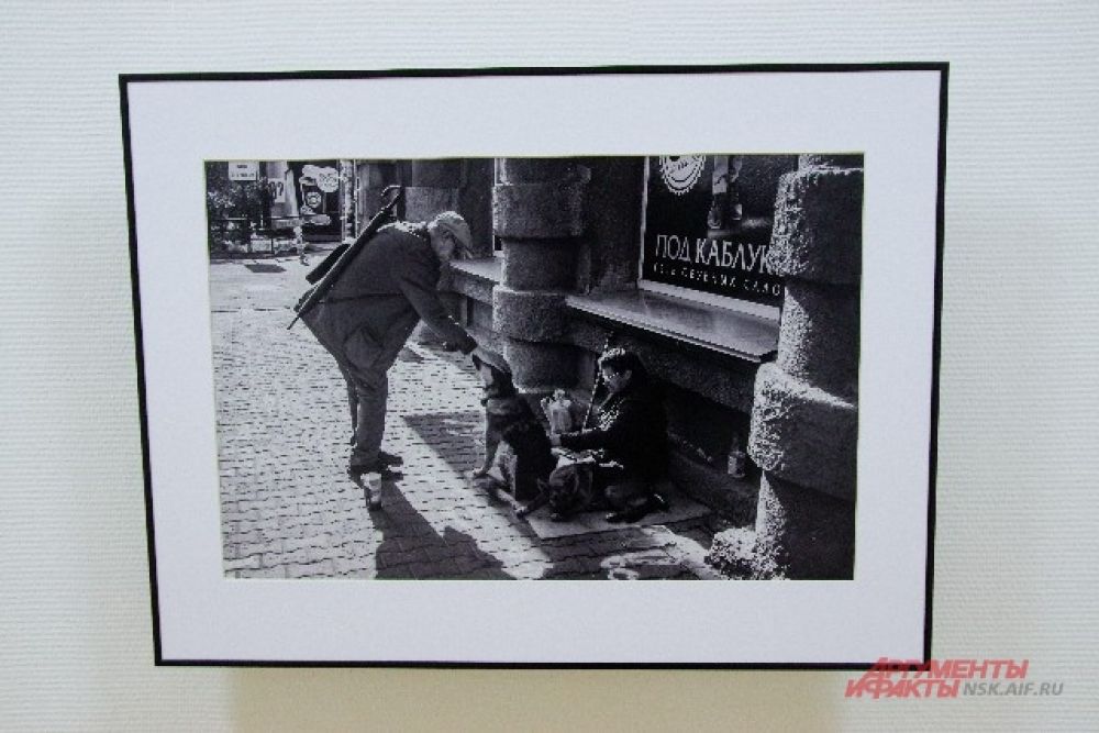 Фотографии должны быть яркими и достоверными.