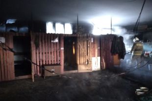 По предварительной версии, пожар произошёл из-за возгорания масла в отопительном котле.