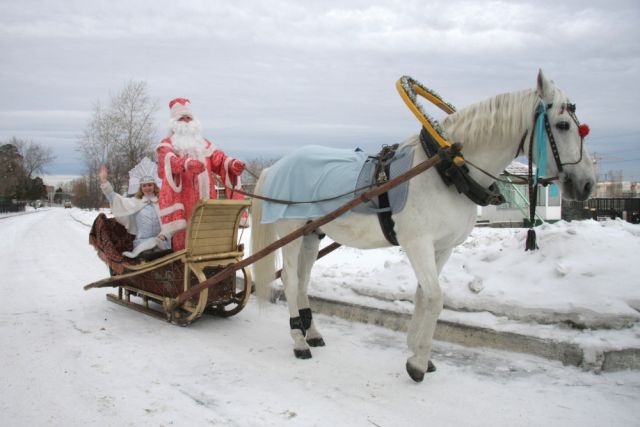 Дед Мороз ездит в упряжке лошадей, в отличие от Санта Клауса, который летает на санях с оленями.