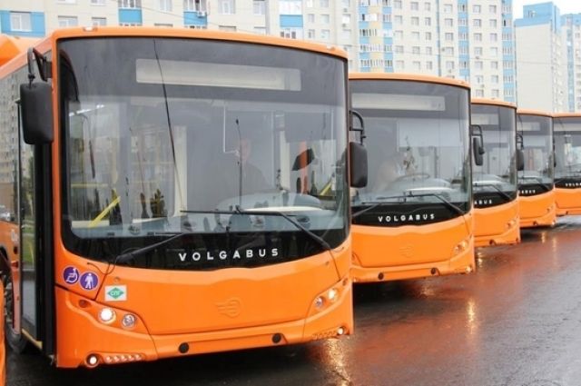 Низкопольных автобусов в Новом Уренгое станет больше