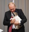 Лидер Туркмении Гурбангулы Бердымухамедов поздравил российского коллегу Владимира Путина с днем рождения и подарил ему щенка алабая. 11 октября 2017 года.