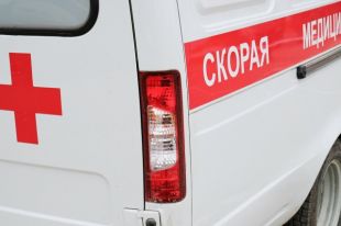 В Пономаревском районе дошколенок отравился настойкой сирени.
