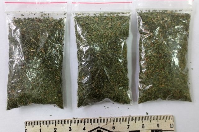 200 грамм конопли супертрава марихуана national geographic