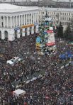 Такой всем запомнилась главная новогодняя елка страны на Майдане, Революция Достоинства 2013-2014 гг.
