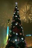А с такой главной новогодней елкой праздновали Новый 2009 год.