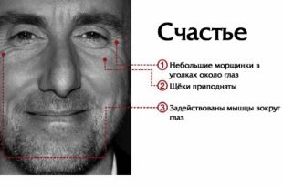 «Обмани меня»: американские ученые создали систему, распознающую ложь