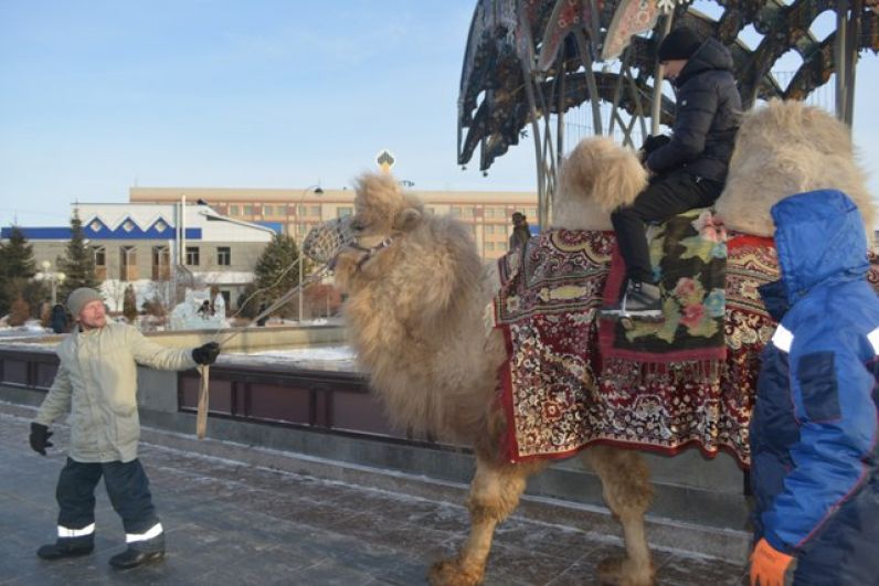 Было много желающик прокатиться на верблюде