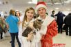 На фестивале гостей приветствовали Дед Мороз и снегурочка с большим котом, с которыми многие не упустили возможности сфотографироваться.