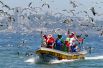 Люди в костюмах Санта-Клауса плывут в рыбацкой лодке в канун Рождества вдоль побережья Вальпараисо, Чили. 