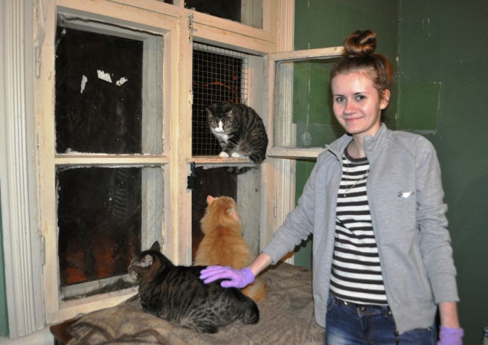 Волонтеры помогают ухаживать за животными