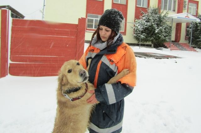 Собака не бездушный рабочий инструмент, а первый напарник и друг, уверена спасатель-кинолог Оксана Лоос. 