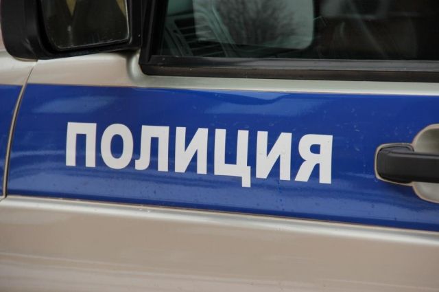 Школьница погибла в ДТП на автодороге Нижний Новгород - Саратов.