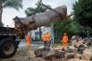 Рабочие убирают большое упавшее дерево в центре Вентуры.