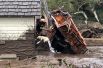 Собака ищет жертв в разрушенных домах после оползня в Монтесито.