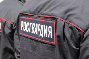 Также в учреждениях разработают алгоритмы действий охранников в чрезвычайных ситуациях.