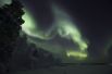 Северное сияние в небе над Инари, Финляндия. 
