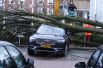 Дерево, упавшее на машину, во время урагана в Амстердаме, Нидерланды.