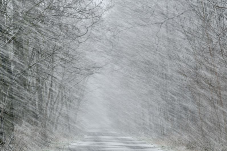 Сильный снегопад вблизи Фризена, Германия.
