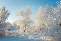 В Красноярском крае стоят сильные морозы.