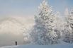 Женщина фотографирует заснеженные деревья на берегу реки Енисей, Красноярск. Температура воздуха в регионе опустилась до минус 34 градусов по Цельсию. 22 января 2018 года. 