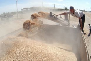Минагрополитики: Украина выручила от продажи агропродукции 18 млрд долларов