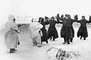 Пленные солдаты вермахта под Сталинградом. 1943 год.