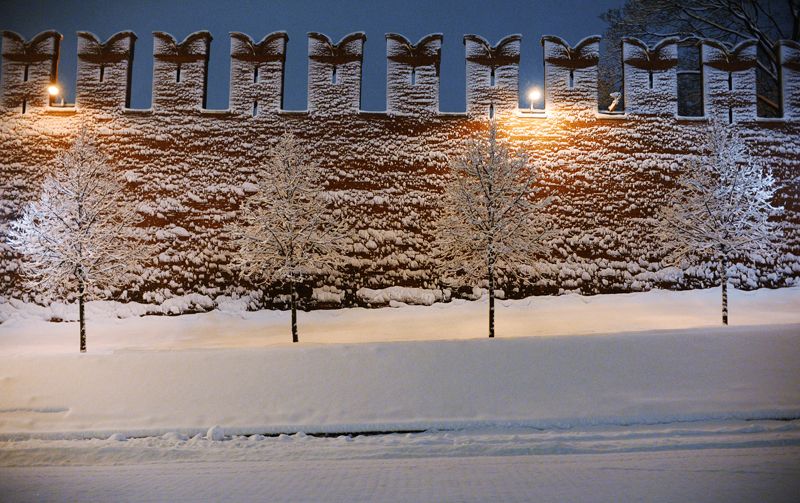 Деревья у стен Московского Кремля во время снегопада.