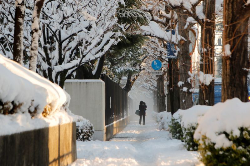 Снежная погода в Токио, Япония.