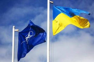 НАТО или реформа образования: Венгрия выдвинула Украине новый ультиматум