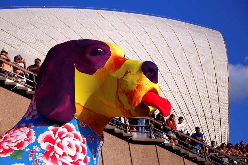 Зрители смотрят на большой фонарь в форме собаки во время празднования Китайского Нового года в Сиднее, Австралия. 