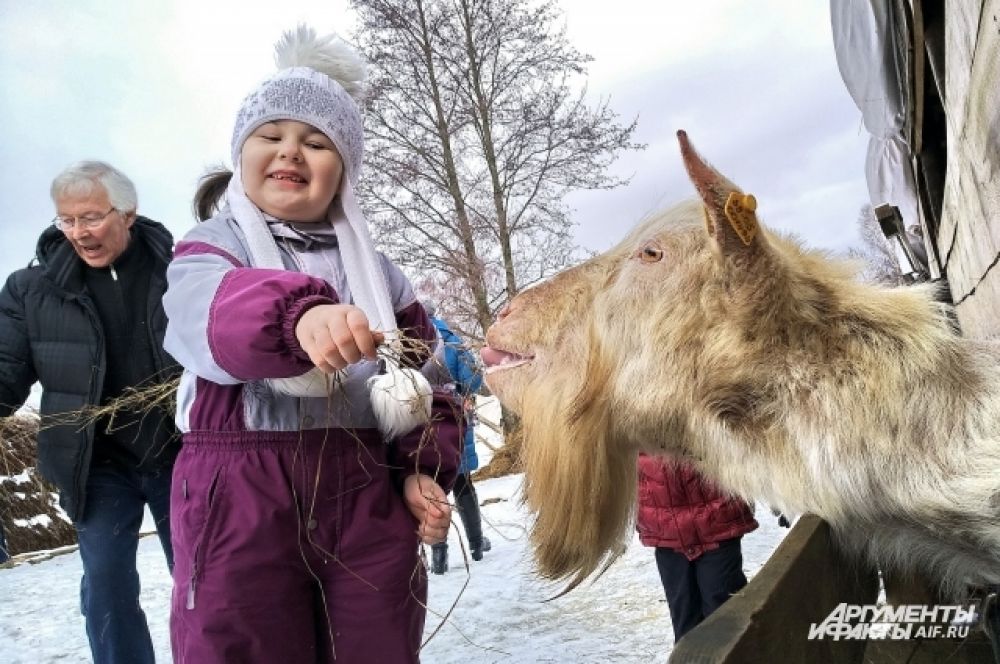 Контактный зоопарк - главное развлечения для детей.