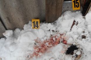 В Харьковской области мужчина убил мать и закопал ее тело во дворе