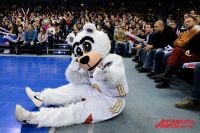 Медведь Мэни - талисман пермского баскетбольного клуба - болел за сборную России.