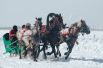 После двух полуфиналов состоялся финал, в который вышли лошади из Аларского и Усть-Удинского районов. 