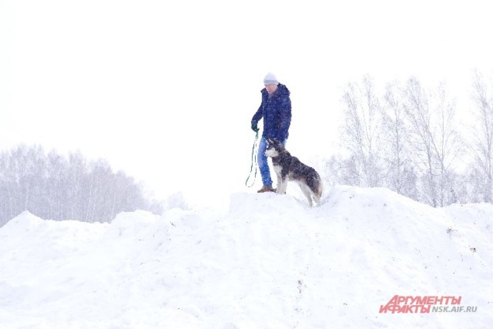 Все-таки, собака - лучший друг человека... Особенно если вокруг снег.