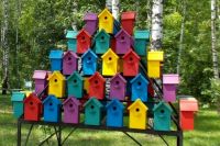 В Новосибирске готовят дворцы для птиц.