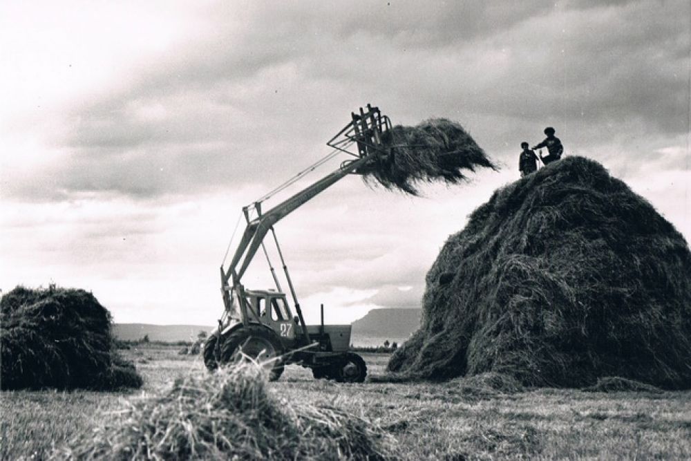 Заготовка кормов в 70-е годы.