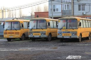 Сельских жителей повезут голосовать на школьных автобусах.