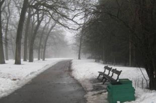Угрожал электрошокером: в Умане неизвестный изнасиловал и ограбил женщину