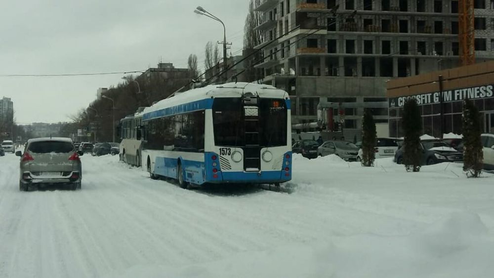 Около 9 утра, по мере освобождения троллейбусного депо из снежного плена, по городу начали курсировать первые троллейбусы. Но власти города объявили каникулы для школьников и выходной для всех остальных.